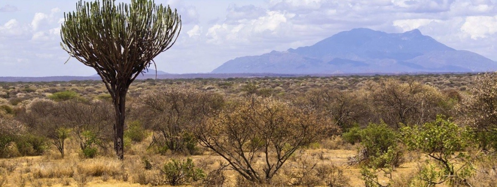 Meru National Park kenya