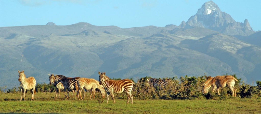 mount kenya national park