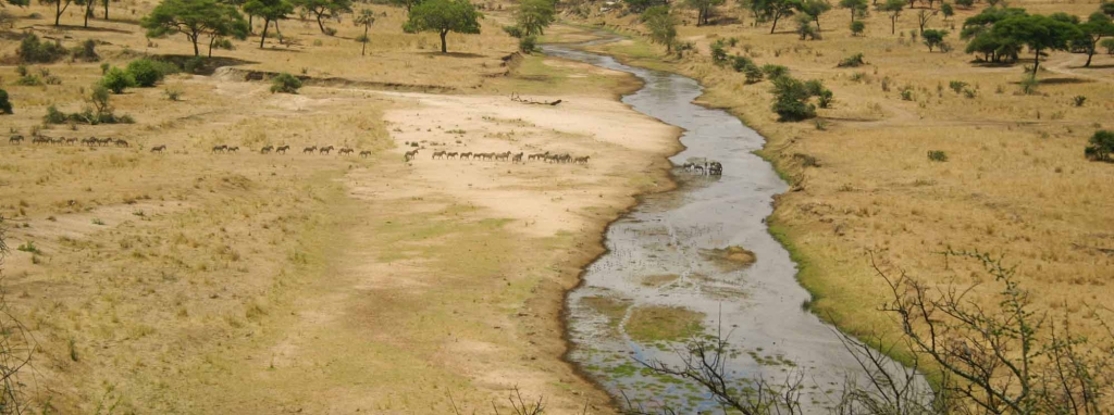 Tarangire National Park