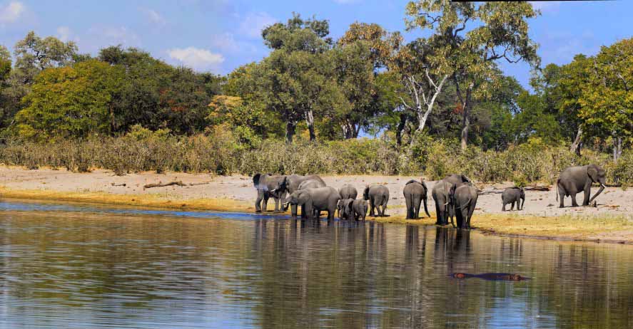 Bwabwata National Park Namibia