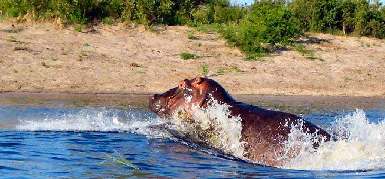 Bwabwata National Park Namibia