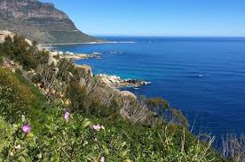 Table Mountain National Park South Africa
