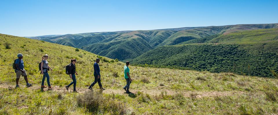 Addo Elephant National Park