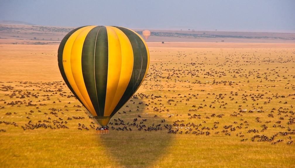 Tanzania safari 
