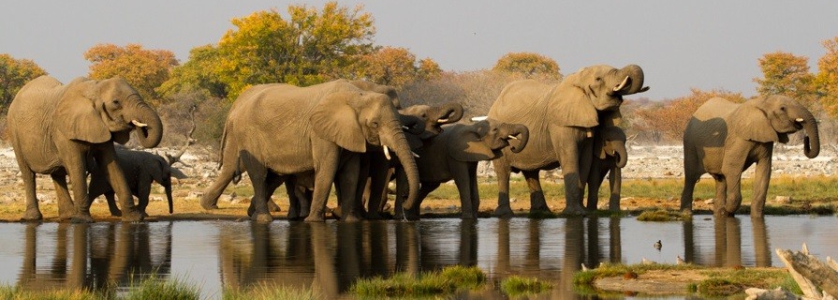 namibia safari tours