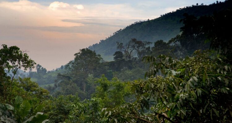 Uganda Attractions