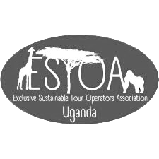 Estoa Logo