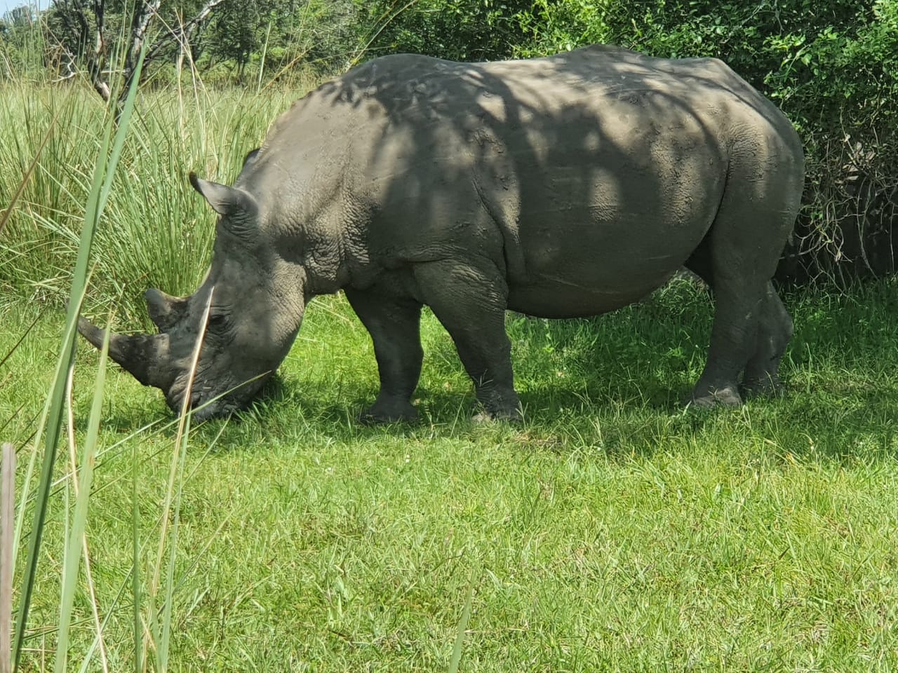 Best Things To do in Uganda