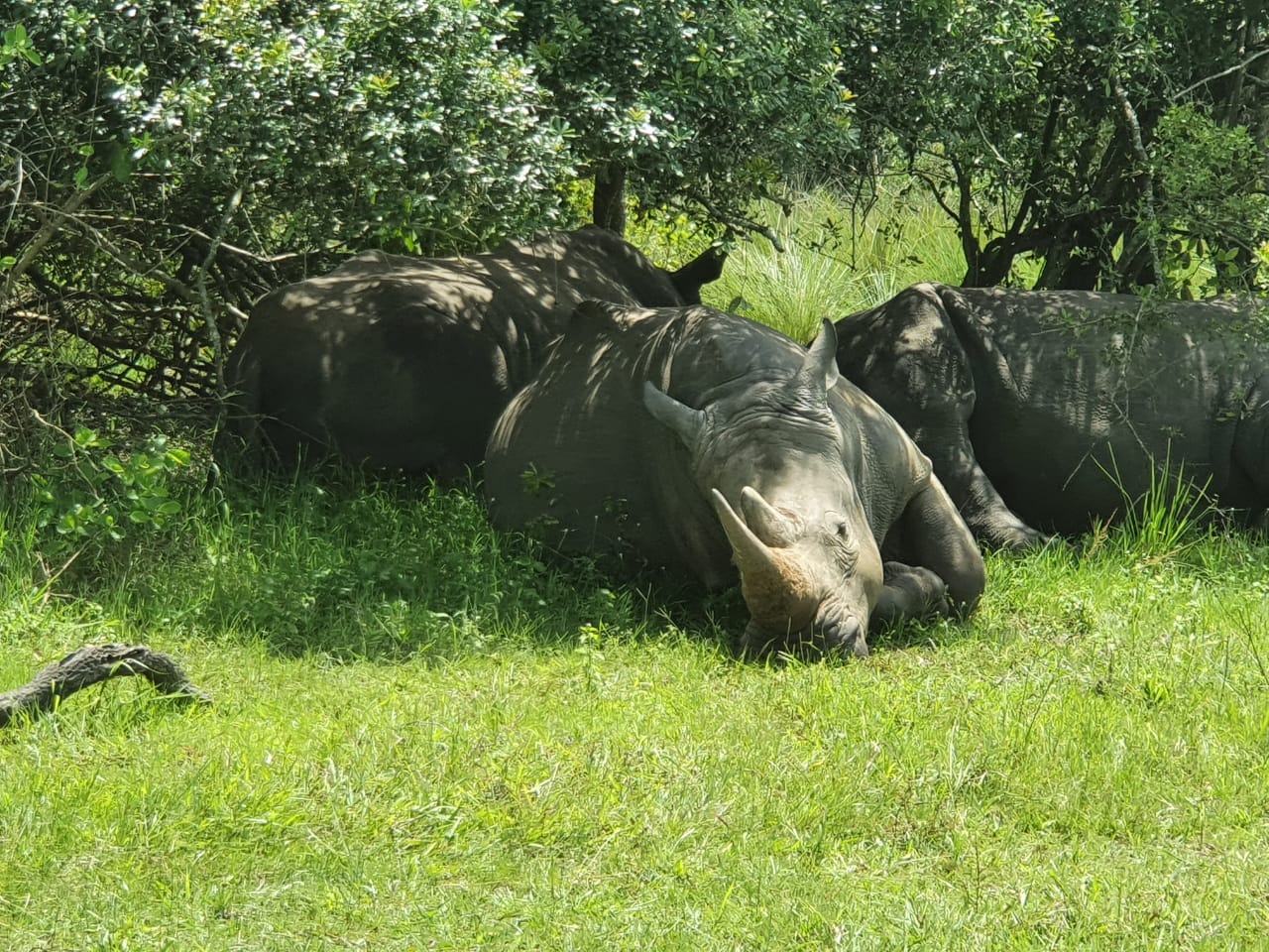 Tourist Attractions in Uganda