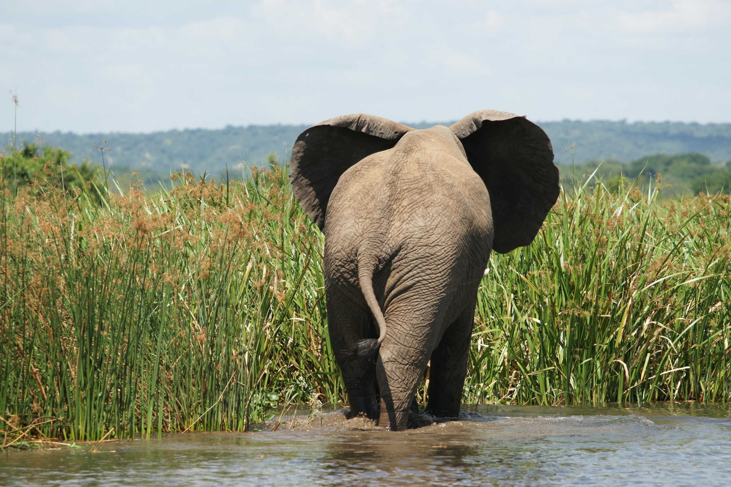 Tourist Attractions in Uganda
