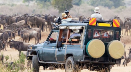 Africa Tours and Safaris | Best 2026 Safari Packages & Prices