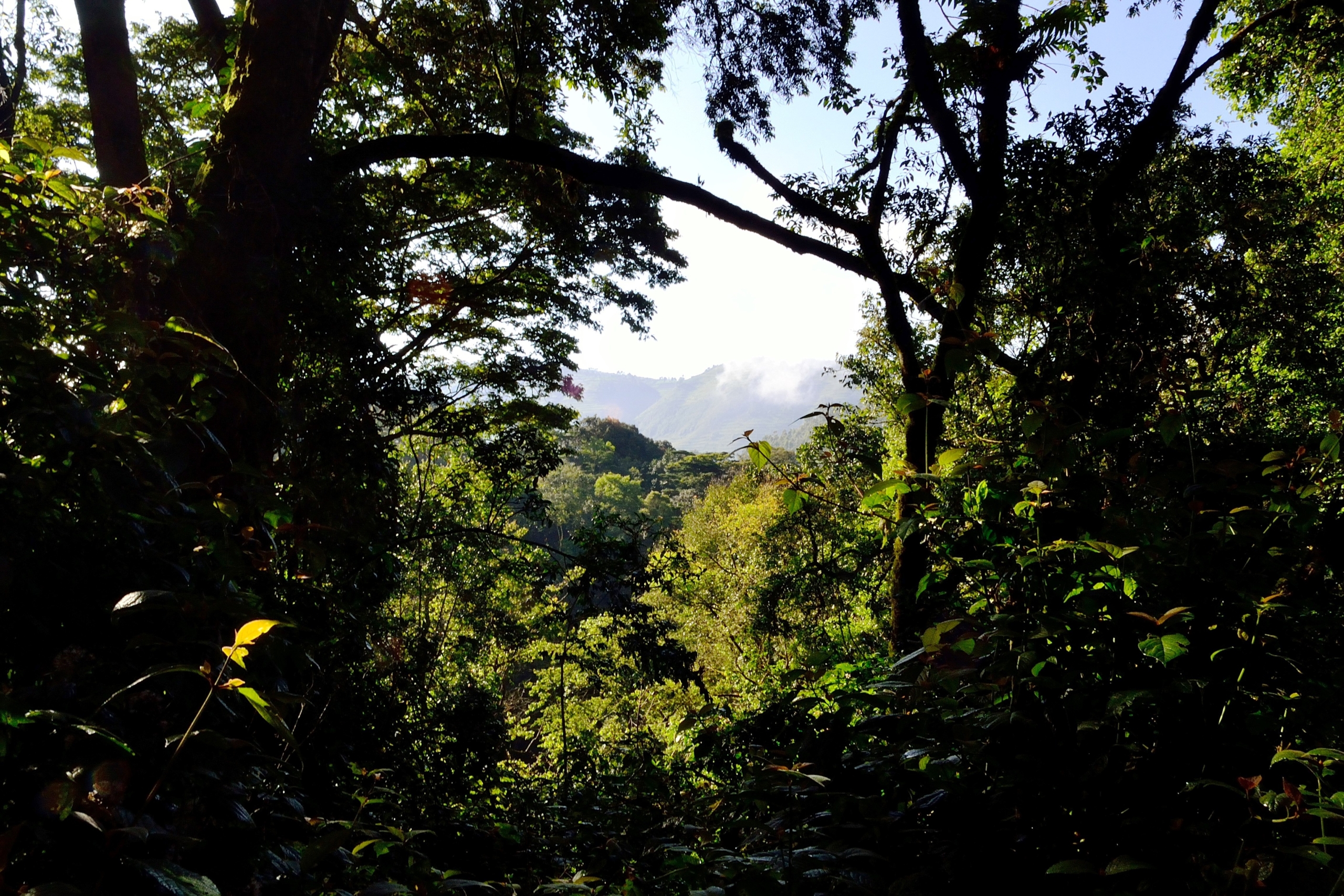 Frequently Asked Questions About Traveling to Uganda