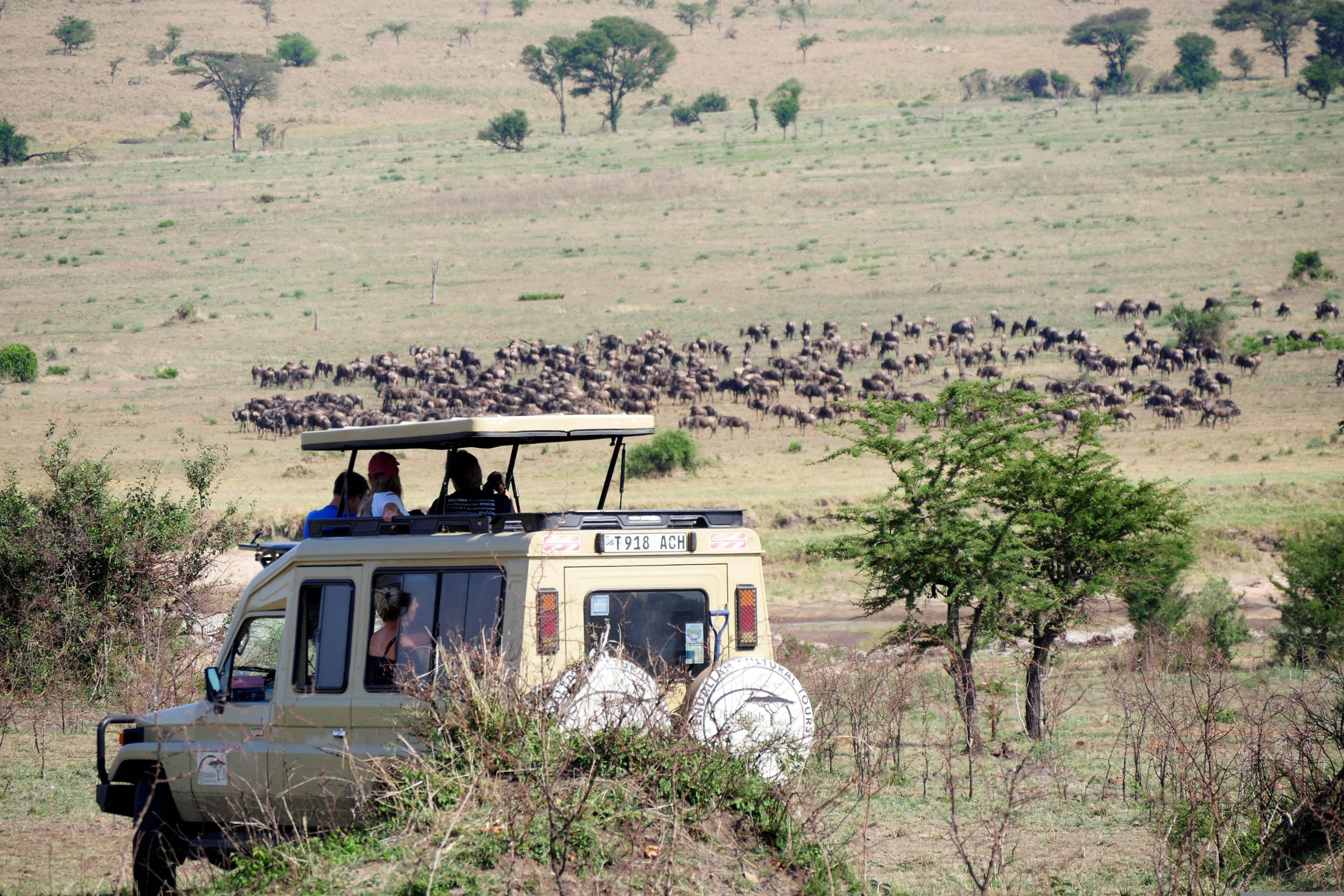 Tanzania Travel